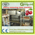 Amazing Cherry Stem Removing Machine, Cherry/Fruit Processing Machine